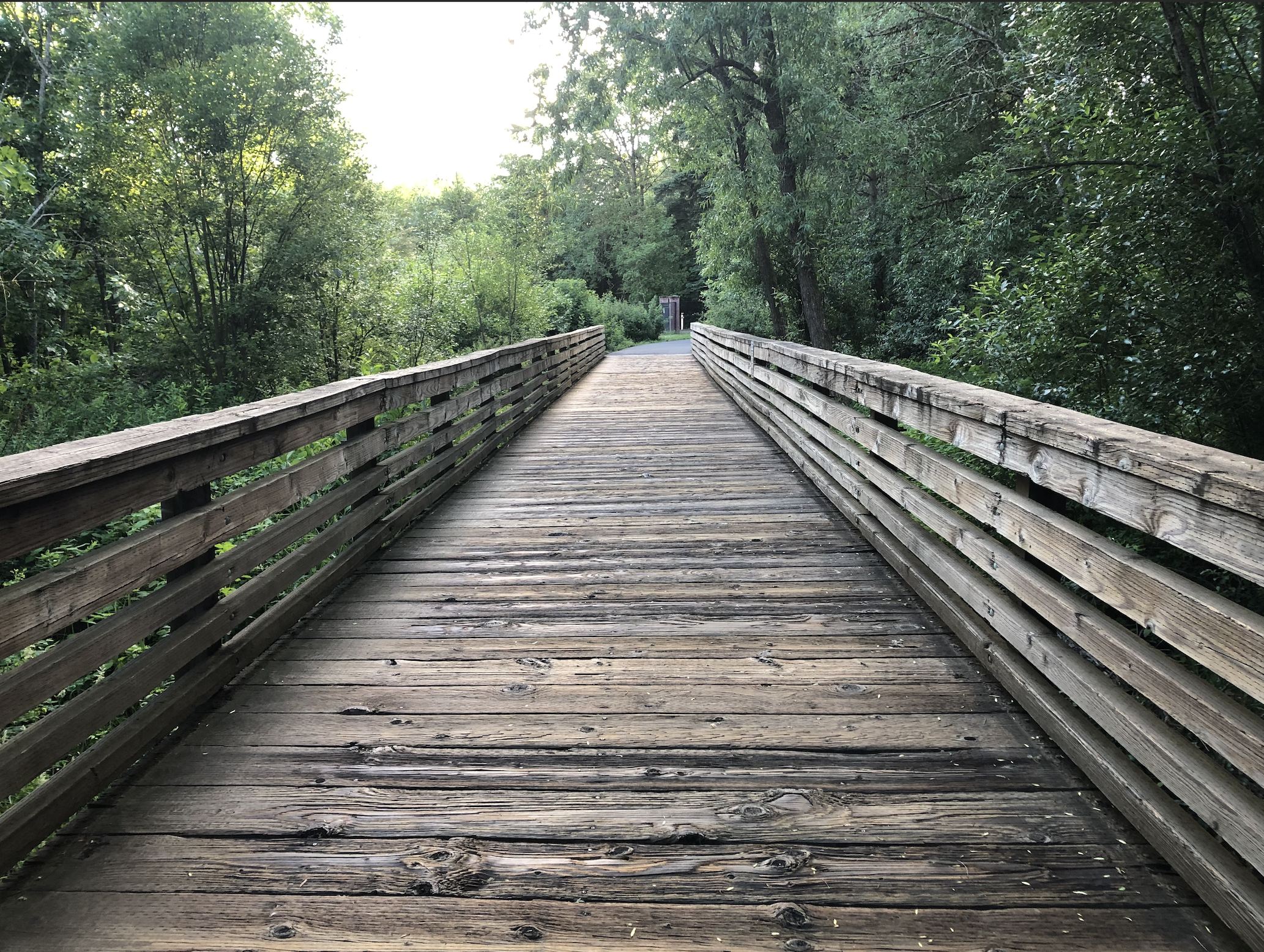 Greenery and bridges; tACTful transitions from the ACT on 2021 series from Linda Cohen Consulting
